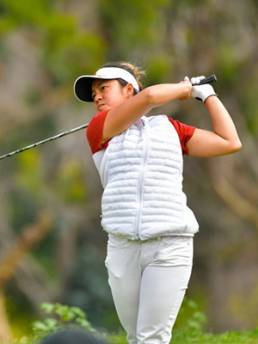 Kaiapoi post blog - Trojans update